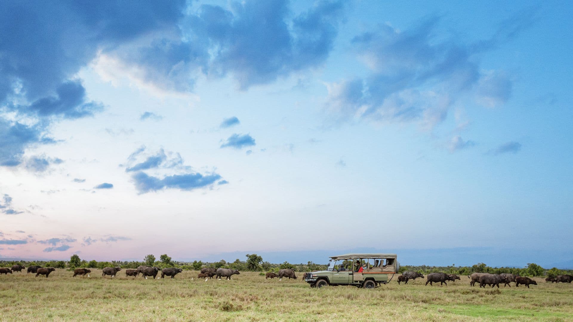 Ol Pejeta gallery image 3