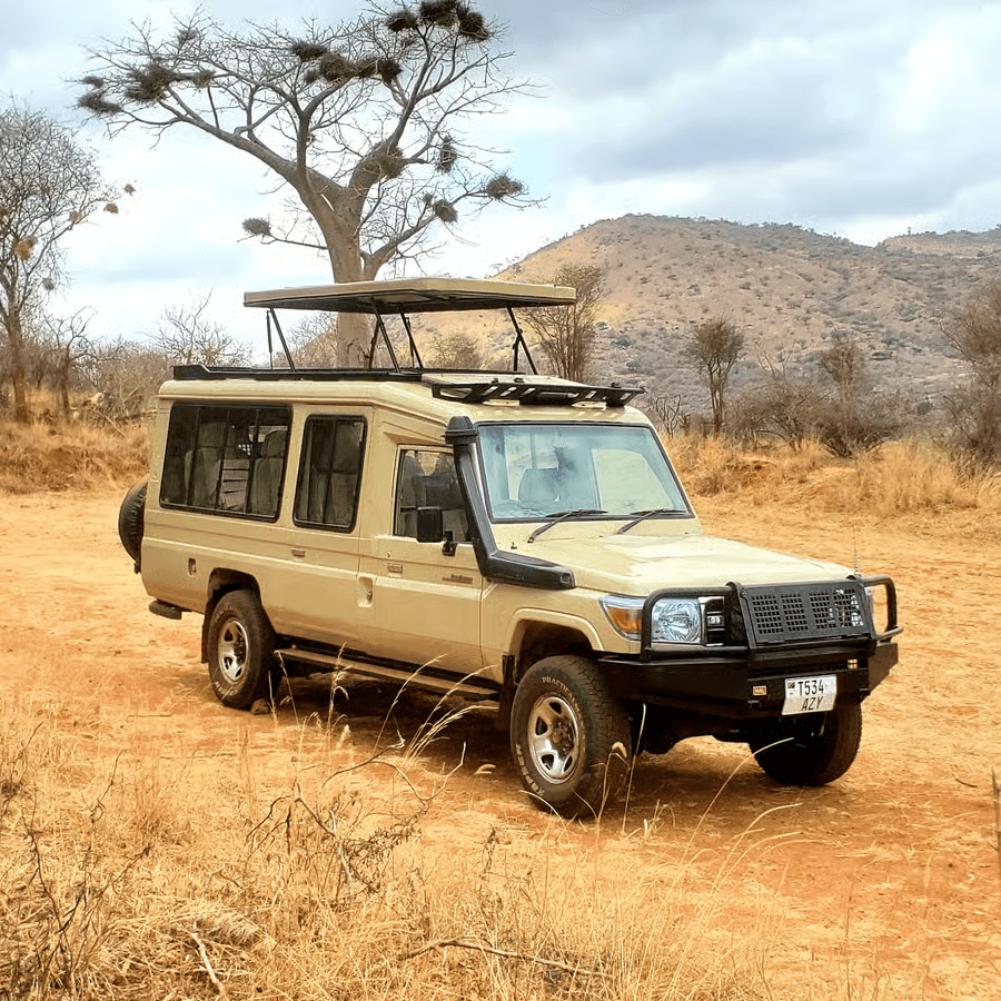 Rental Vehicle – Safari Car gallery image 2