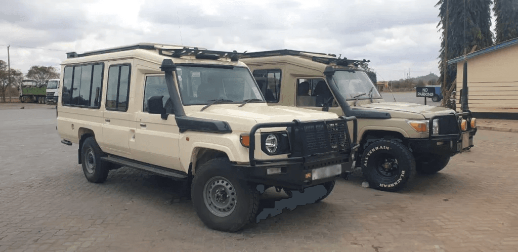 Rental Vehicle – Safari Car gallery image 1