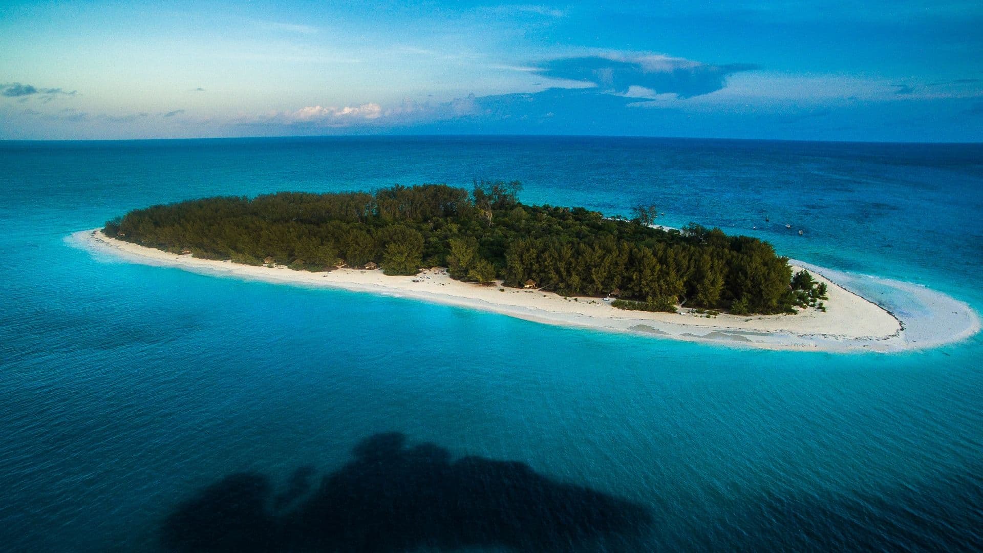 Fly Me to Mnemba Island gallery image 1