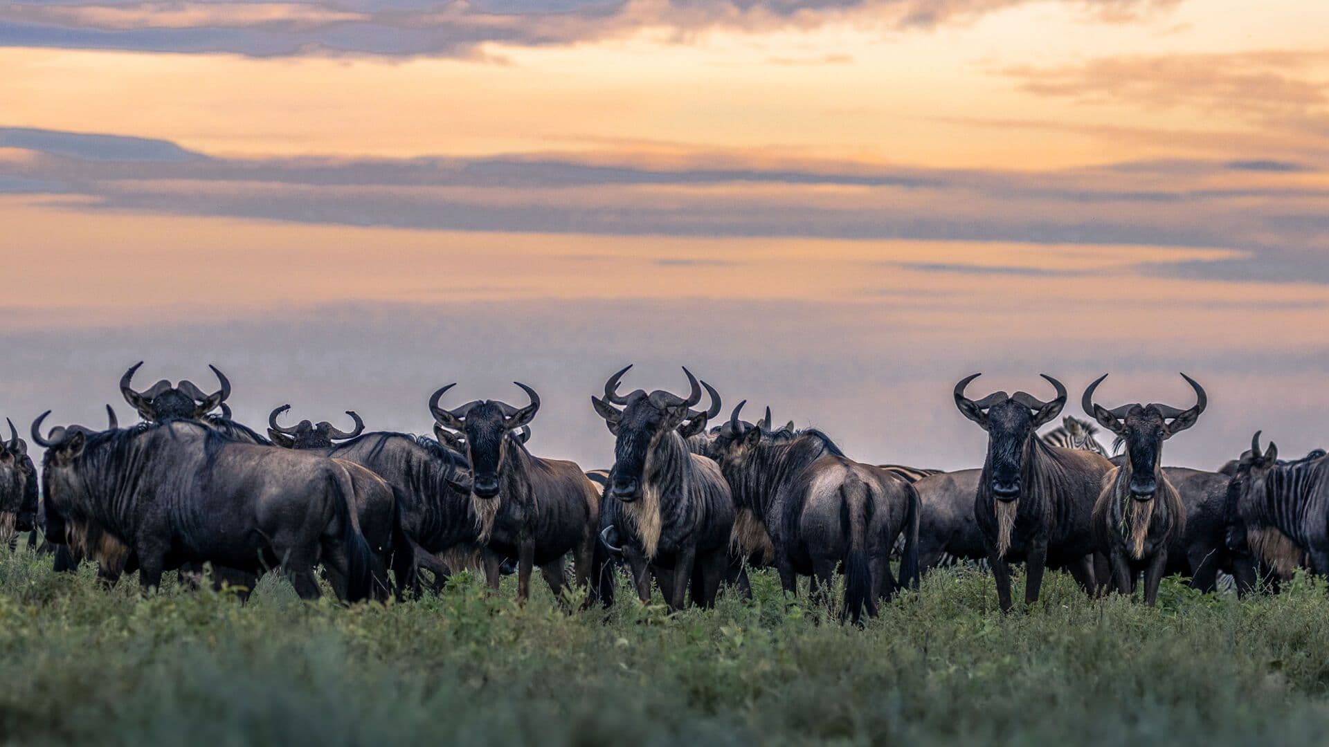 Northern Tanzania Explored gallery image 3