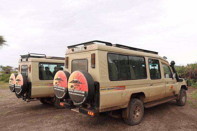 Rental Vehicle – Safari Car gallery image 3